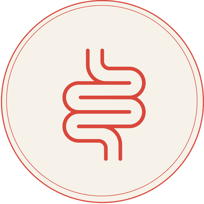 Heart Healthy Homes Digestive Health Supplements Collection Icon Image