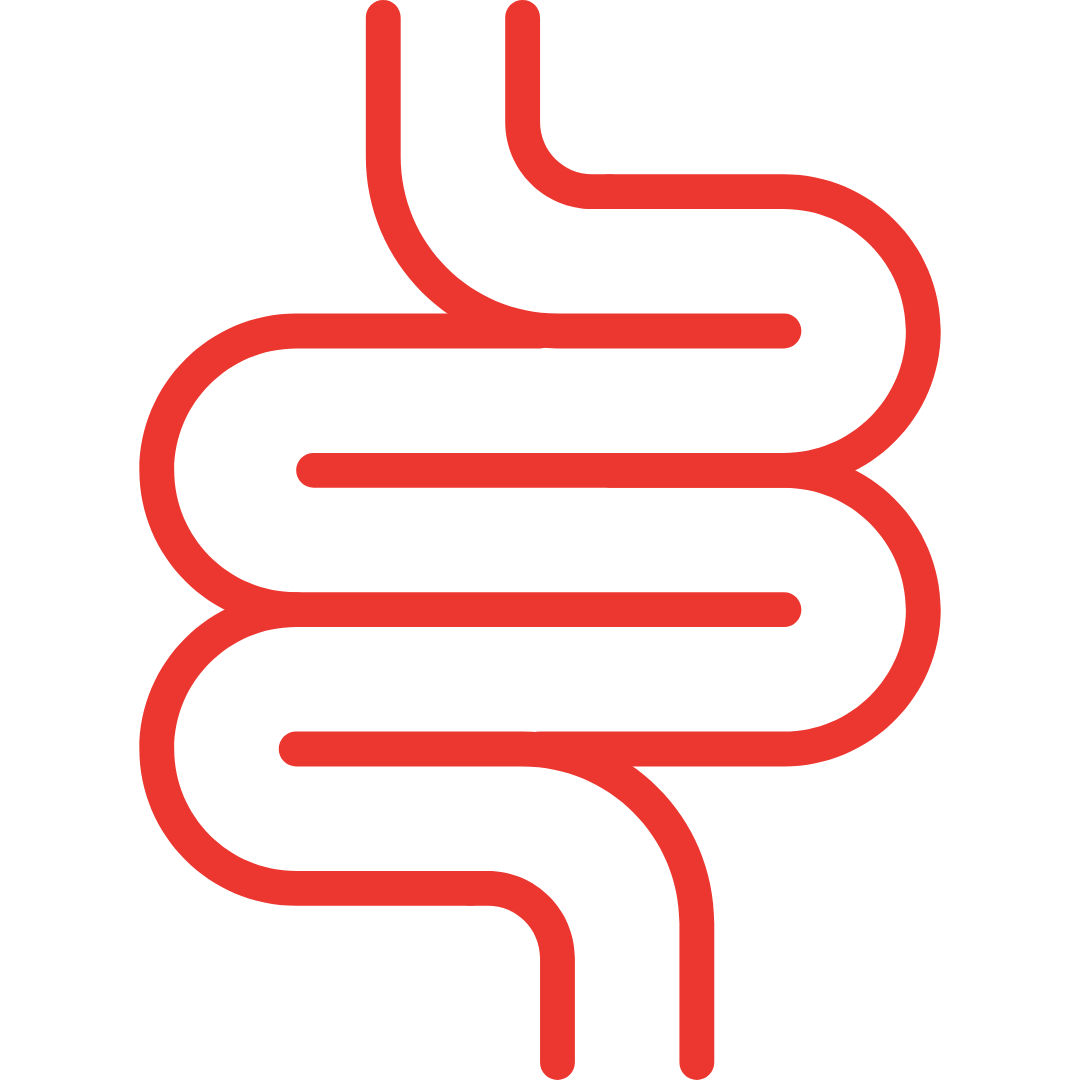 Digestive Health