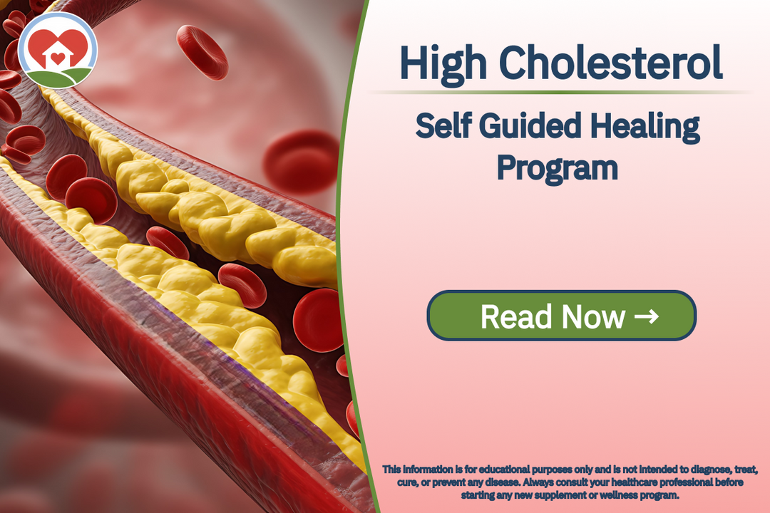 High Cholesterol | Self Guided Healing Program