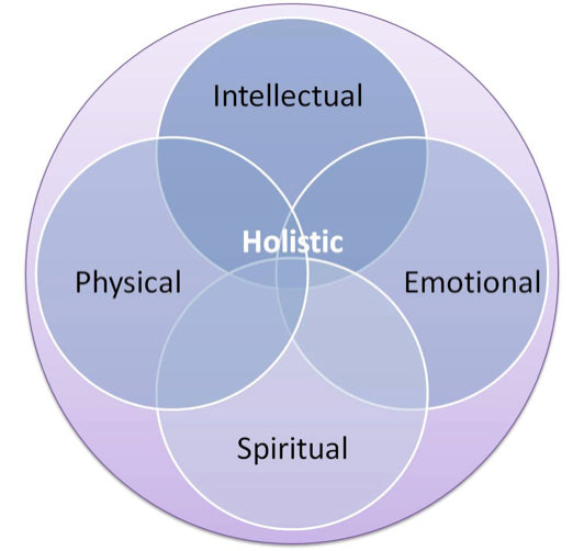Holistic Approach to the Effects of Stress on Inflammatory Response and Immune System