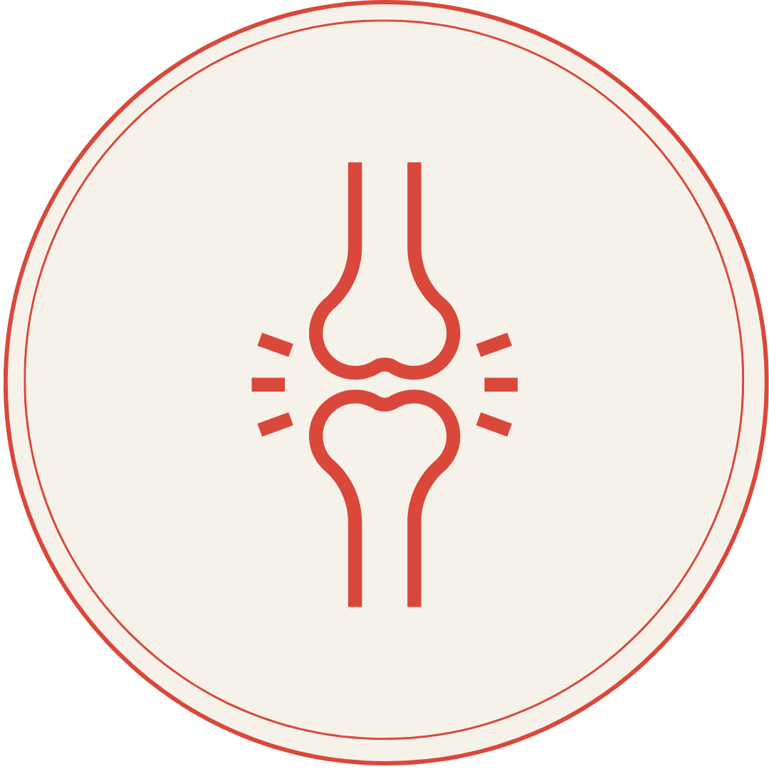 Heart Healthy Homes Supplements for Inflammation and Joint Pain Collection Icon Image