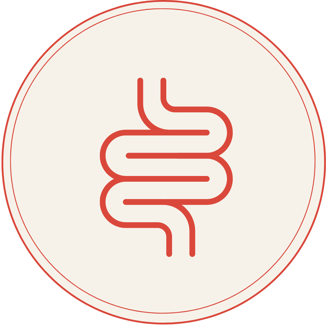 Heart Healthy Homes Digestive Health Supplements Collection Icon Image