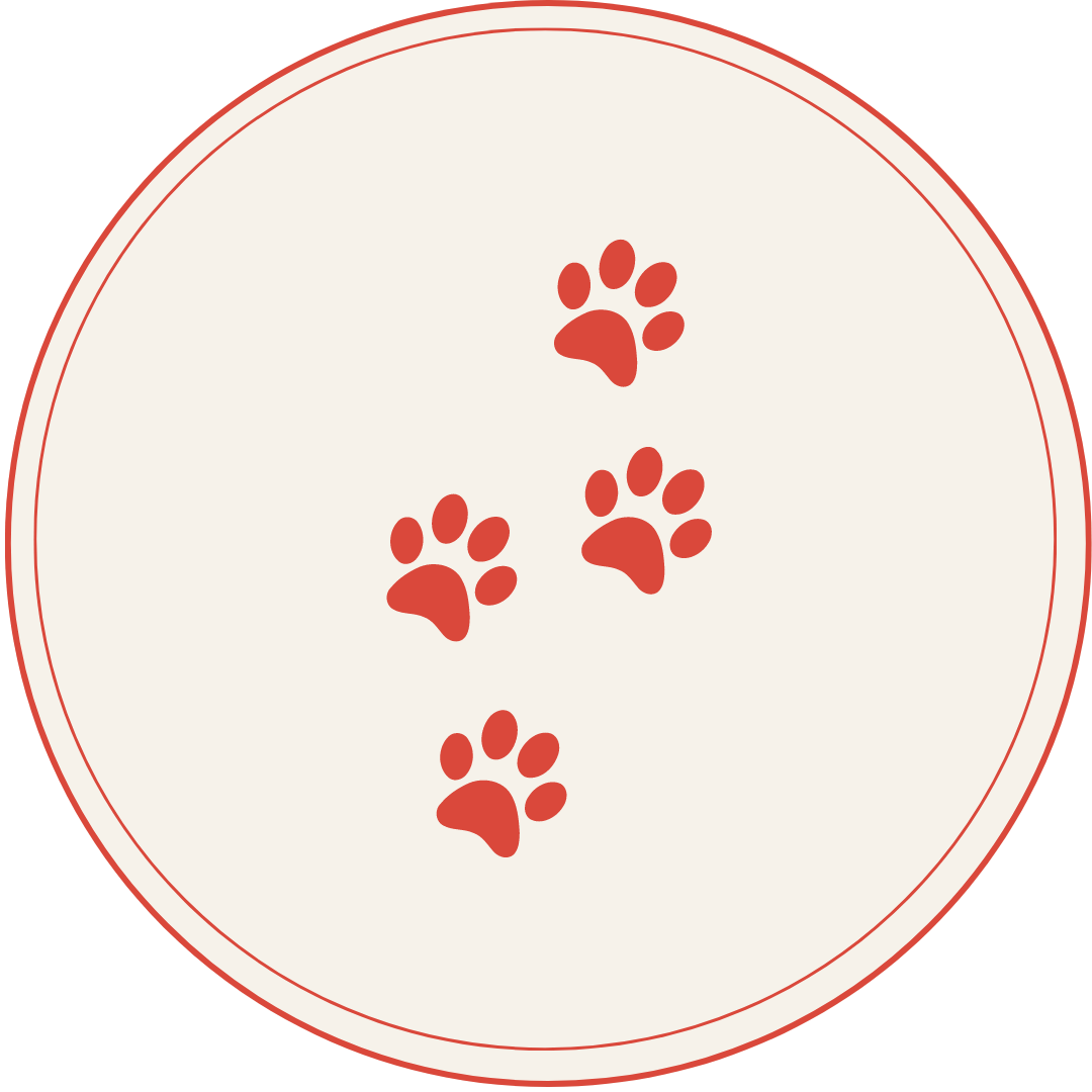 Heart Healthy Homes Standard Process for Dogs Collection Icon Image