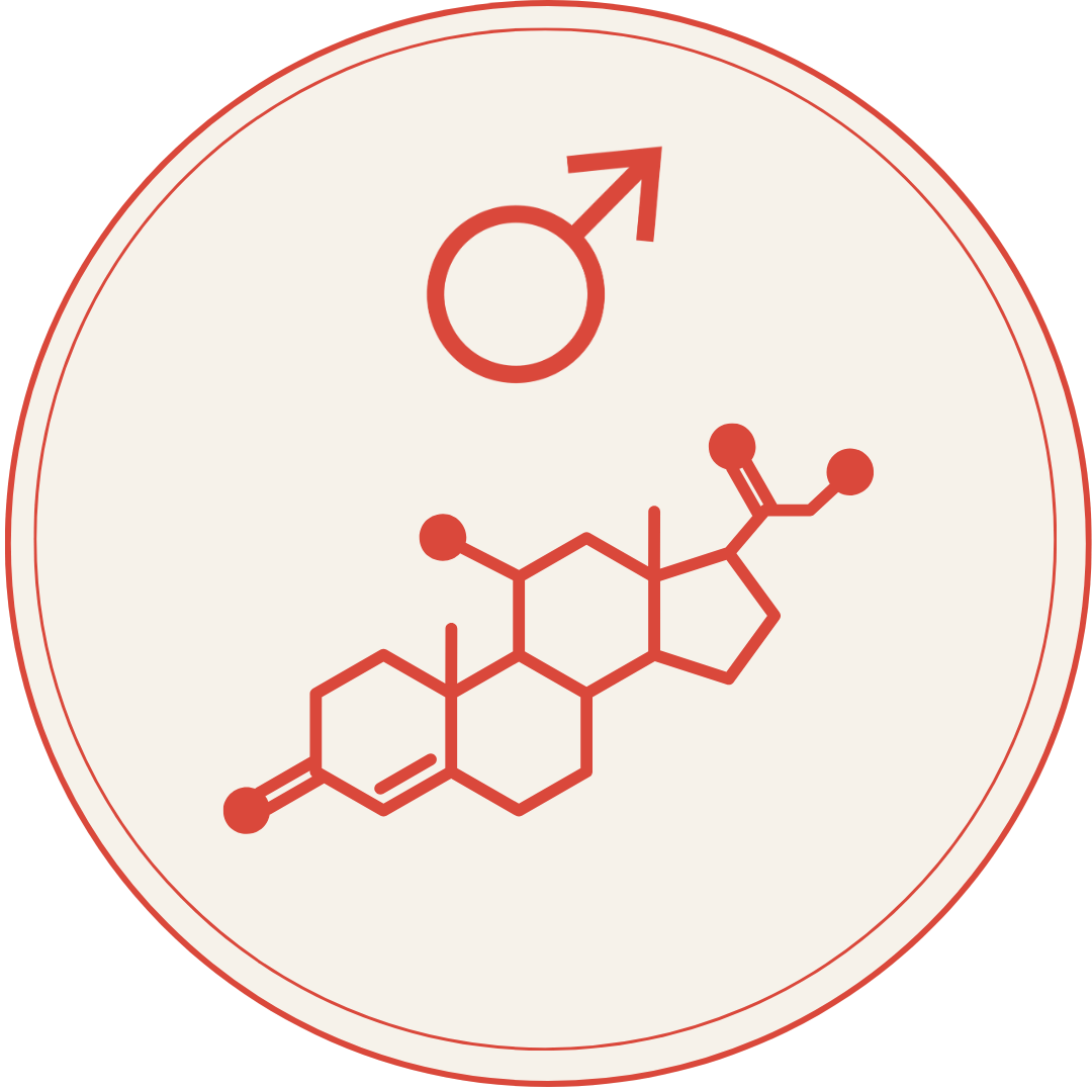 Heart Healthy Homes Male Hormone Supplements Collection Icon Image