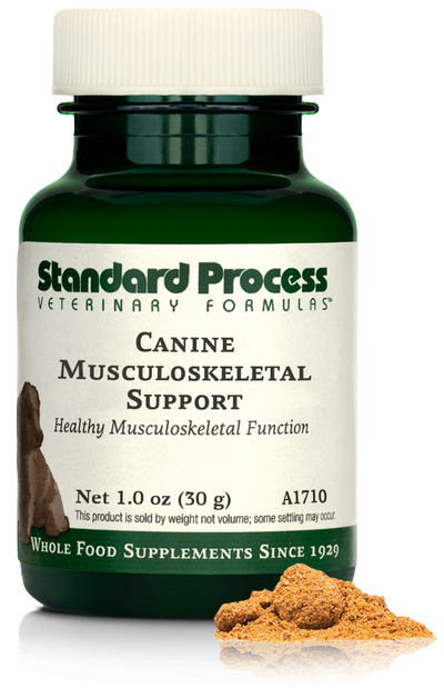 A bottle of Canine Musculoskeletal Support, a powder supplement for dogs’ muscles, ligaments and bone health, next to an image of the powder supplement.