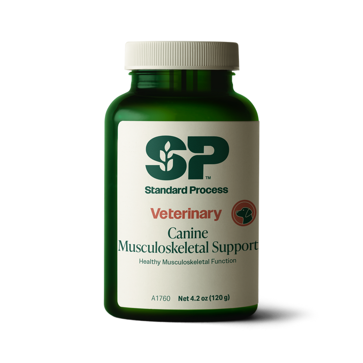 A bottle of Canine Musculoskeletal Support, a powder supplement for dogs’ muscles, ligaments and bone health, next to an image of the powder supplement.