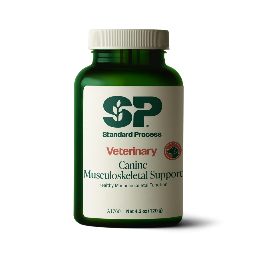 A bottle of Canine Musculoskeletal Support, a powder supplement for dogs’ muscles, ligaments and bone health, next to an image of the powder supplement.
